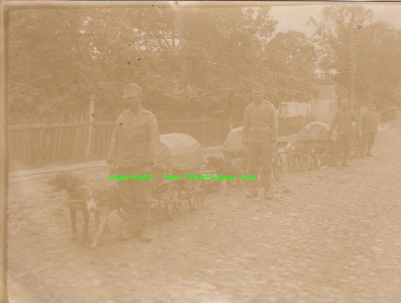 PHOTO KUK HUNDEWAGEN KOLONNE MIT FÜHRER