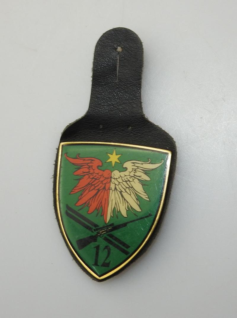 ÖSTERREICH BUNDESHEER ÖBH TRUPPENKÖRPERABZEICHEN KÄRNTEN  JÄGERREGIMENT 12